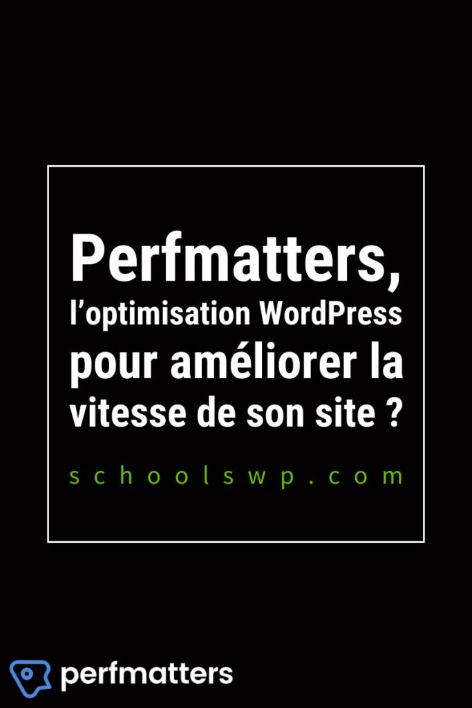 Perfmatters WordPress mon avis