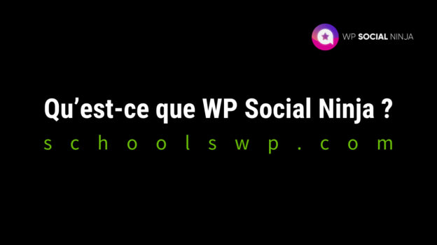 N'attendez plus pour améliorer votre présence en ligne. Obtenez dès maintenant WP Social Ninja et découvrez comment ce plugin peut vous aider à atteindre vos objectifs en un rien de temps. Cliquez ici pour en savoir plus sur cet outil exceptionnel pour WordPress.