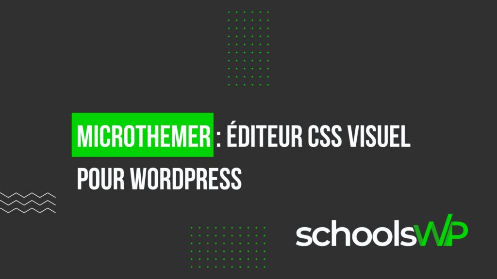 Microthemer : Éditeur CSS visuel pour WordPress - Personnalisez facilement votre site