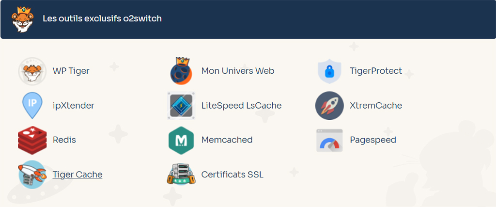 Exclusive o2switch tools to optimize WordPress: cache, SSL, security and performance