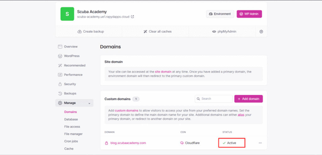 activer Cloudflare WordPress – capture schoolsWP du domaine avec CDN Cloudflare et statut Active dans Rapyd Cloud confirmé.