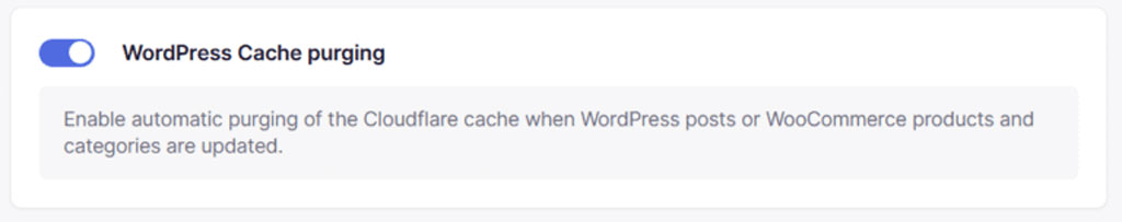 purge cache Cloudflare WordPress – capture schoolsWP de l’option de purge automatique du cache après mise à jour visible.
