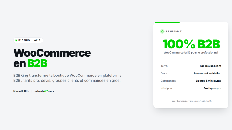 B2BKing avis WooCommerce B2B - schoolsWP