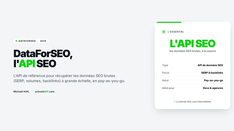 Avis DataForSEO : l'API de référence pour tes données SEO brutes (SERP, volumes, backlinks) en pay-as-you-go.