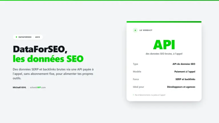 Avis DataForSEO - l'API de données SERP et backlinks payée à l'appel, sans abonnement fixe, pour alimenter tes outils SEO