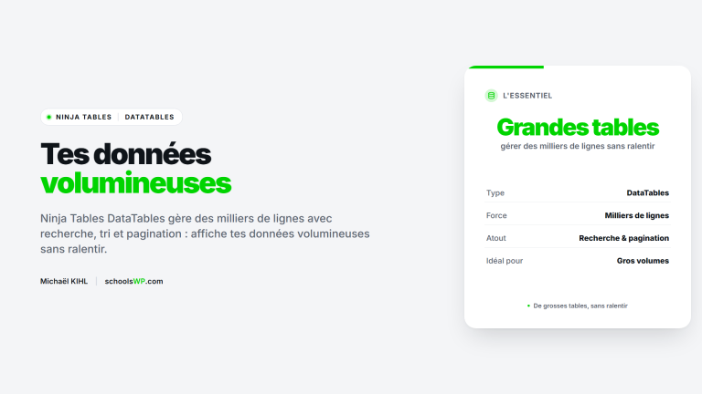 Ninja Tables DataTables : gérer des données volumineuses sur WordPress