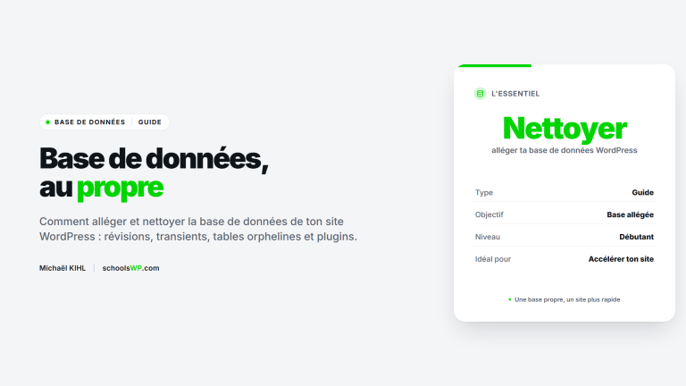Nettoyer la base de données WordPress, le guide - schoolsWP