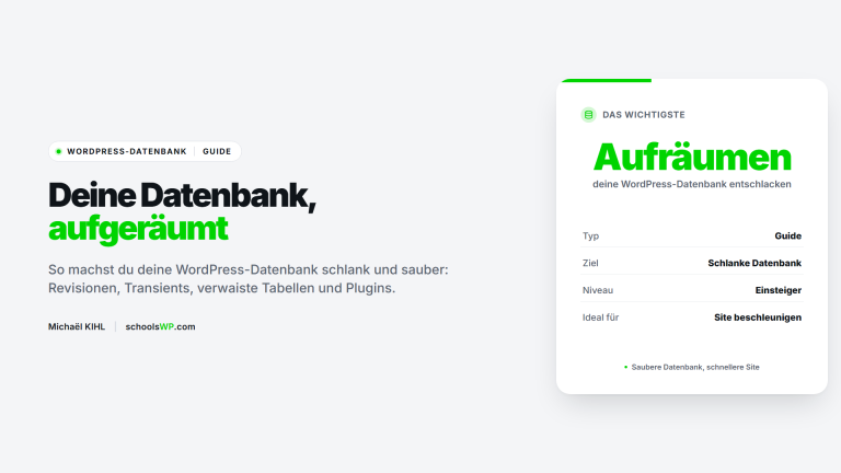WordPress-Datenbank reinigen, der Guide - schoolsWP