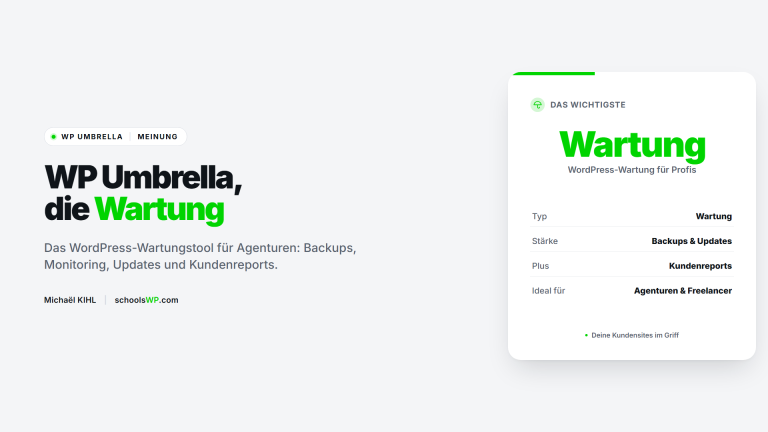 WP Umbrella, WordPress-Wartung für Agenturen - schoolsWP