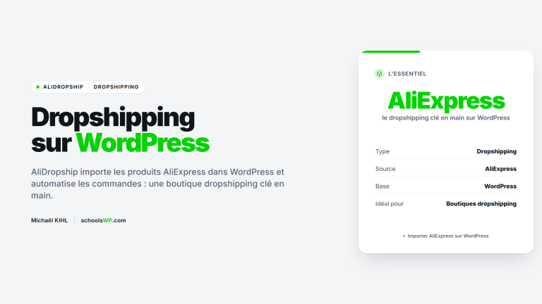 AliDropship, dropshipping AliExpress sur WordPress - schoolsWP