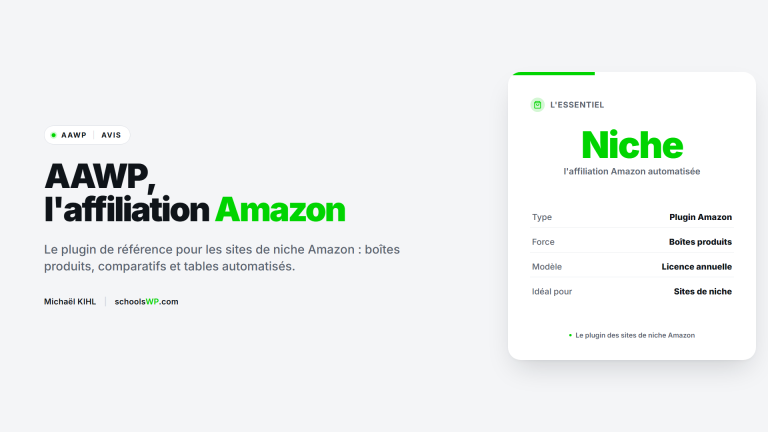 AAWP : le meilleur plugin Amazon pour les sites de niche WordPress | schoolsWP