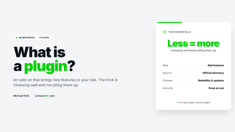 WordPress plugin: an add-on that adds features, to choose carefully (official directory, reliability, security)