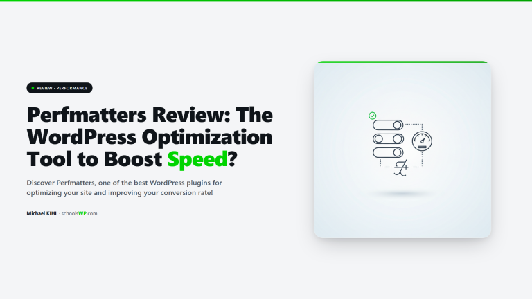 Perfmatters review 2026 - comprehensive guide to optimizing page load speed and scripts in WordPress on schoolsWP for 2026