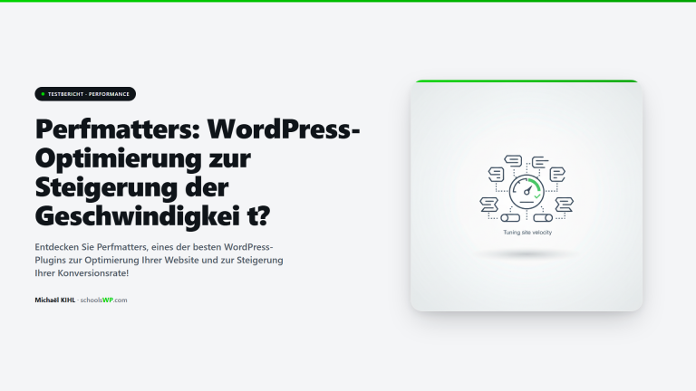 Perfmatters Testbericht 2026 - Leitfaden zur Optimierung der Ladezeit und aller Skripte in WordPress auf schoolsWP für 2026